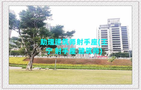 助理建筑师射手座(王宁 射手座 建筑师)